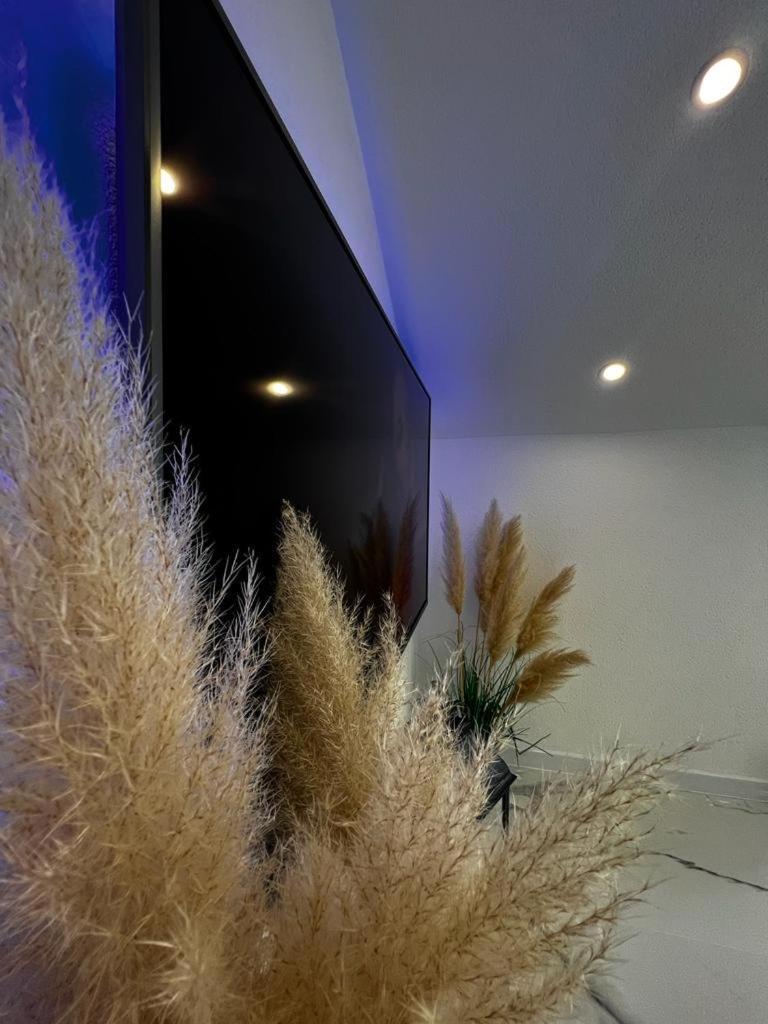 Luxury Apartment Megy Otočac Zewnętrze zdjęcie